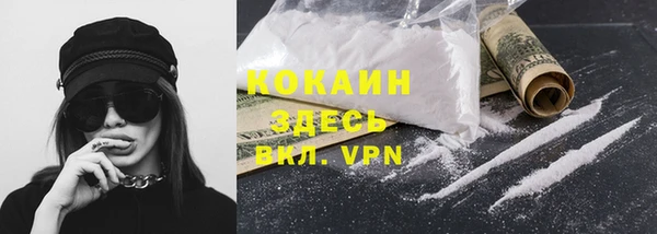 гашик Богородск