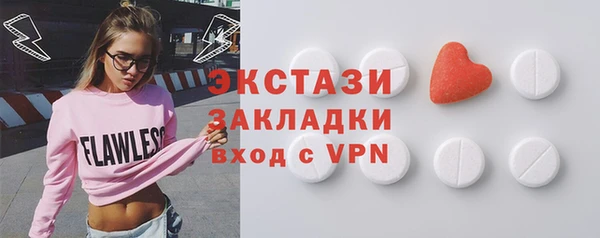 ECSTASY Богородицк