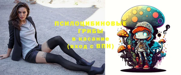 ECSTASY Богородицк