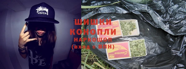 ECSTASY Богородицк