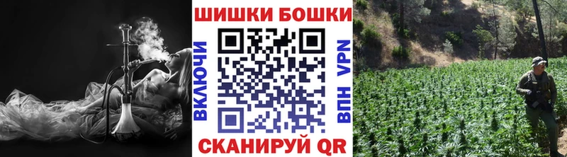 Бошки Шишки VHQ Волхов